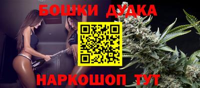 мдпв Дубна