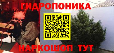 мдпв Дубна