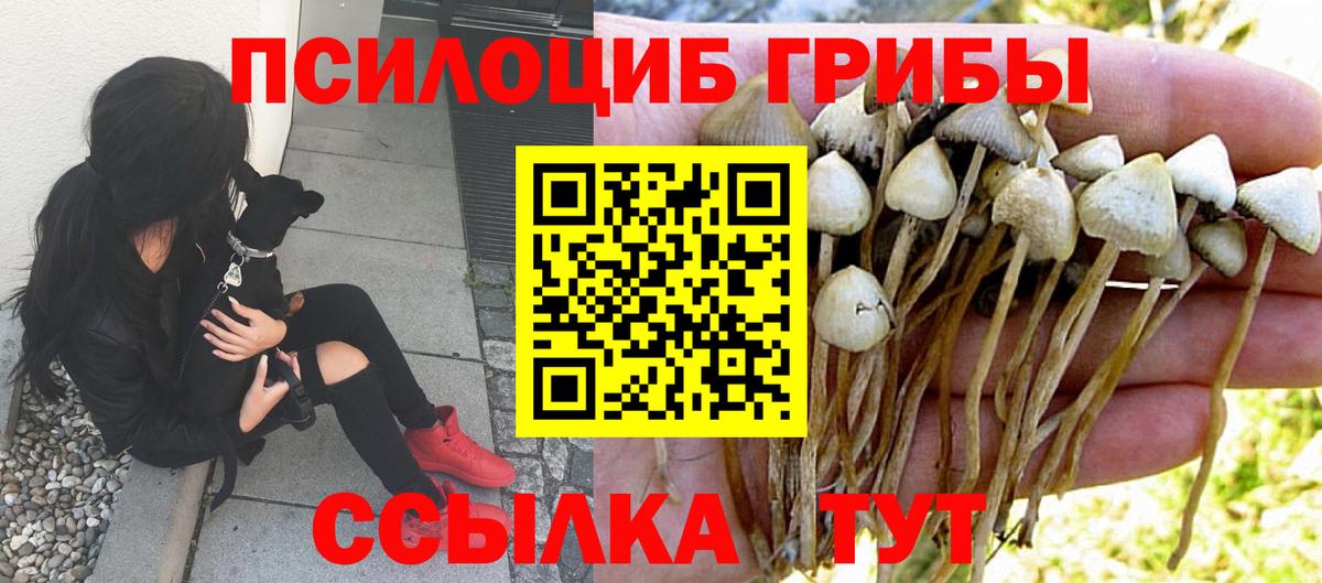 Галлюциногенные грибы MAGIC MUSHROOMS  Вход с VPN  Котельники 