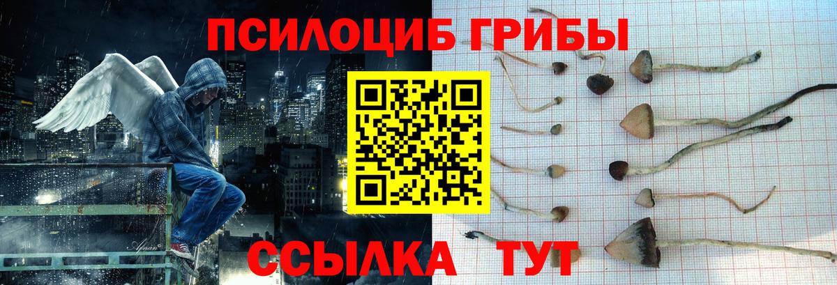 Псилоцибиновые грибы прущие грибы Котельники